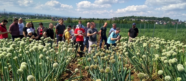 Na zdjęciu poletka z cebulą siedmiolatką (OWT). Zainteresowanie studentów wzbudziła duża ilość zapylaczy odwiedzających kwitnące rośliny