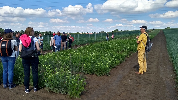 Studenci zapoznają się z badaniami odrębności, wyrównania i trwałości (OWT) na poletkach z marchwią. Informacji udzielają Krzysztof Słowiak (SDOO Węgrzce) oraz prof. Wojciech Szewczyk (UR Kraków).