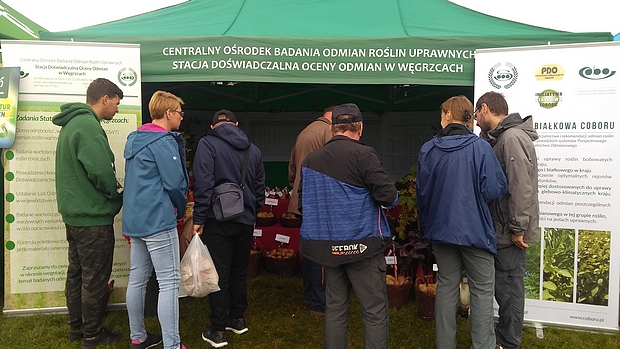Odwiedzający stoisko SDOO